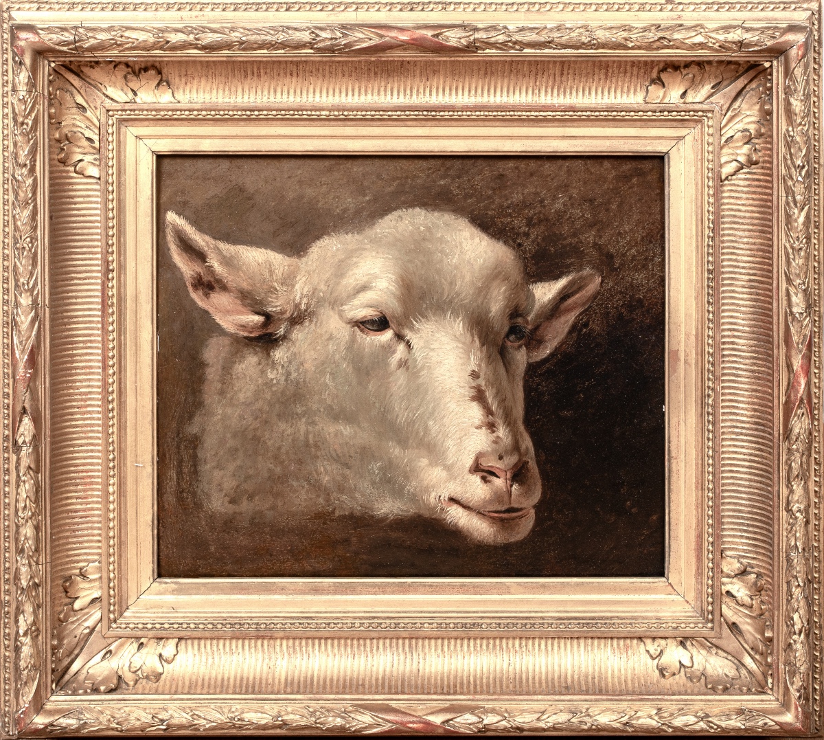 Étude d'une tête d'agneau / mouton, XIXe siècle  Attribué à Rosa BONHEUR (1822-1899)  