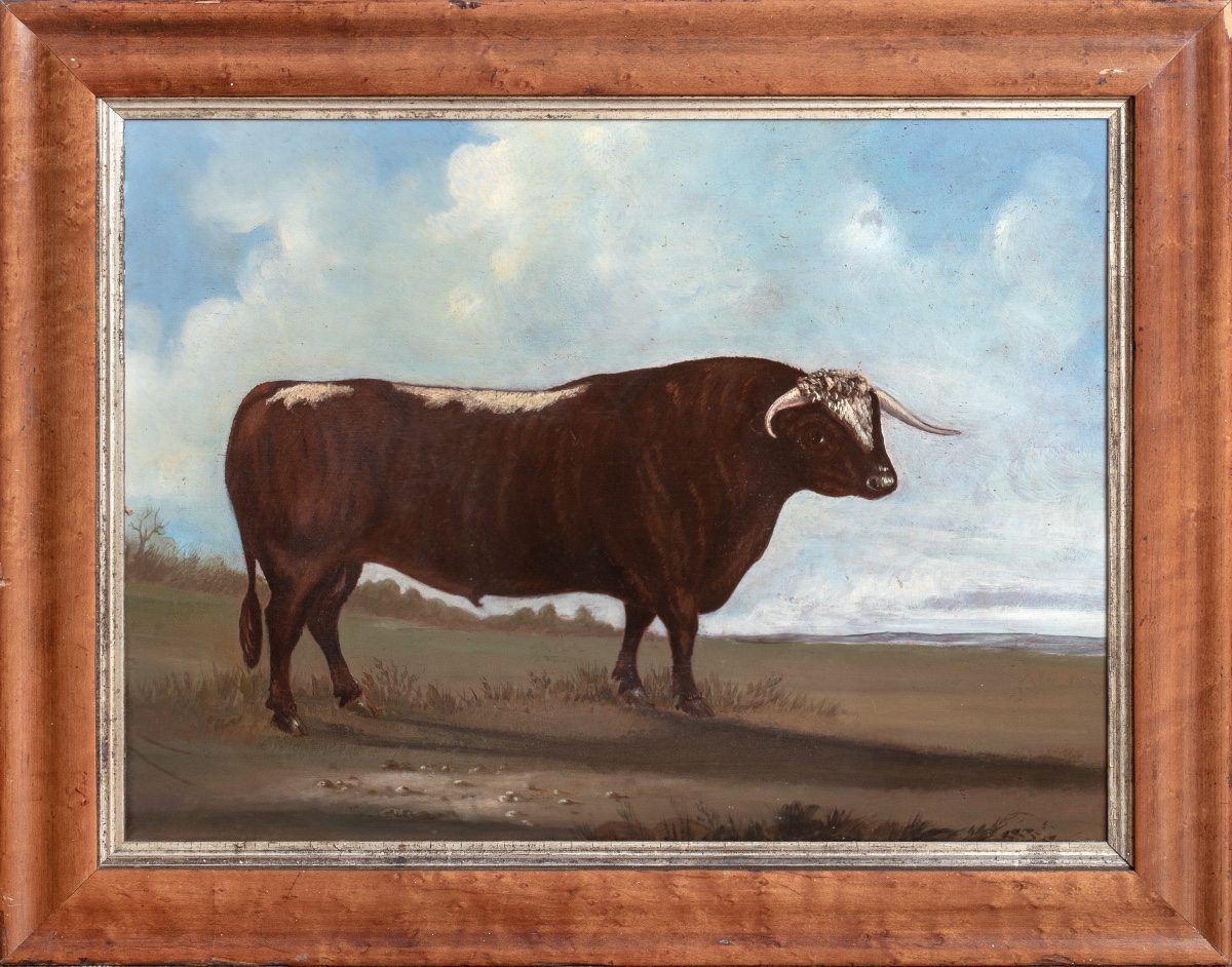 Portrait Of A Prize Staffordshire Longhorn Bull, Early 19th Century William Henry Davis 