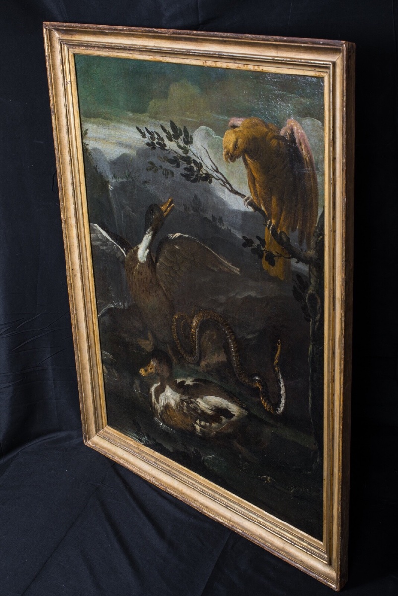 Parrot, Snake, Lizard And Ducks, 17th Century - Otto Marseus Van Schrieck (1619-1678)-photo-3