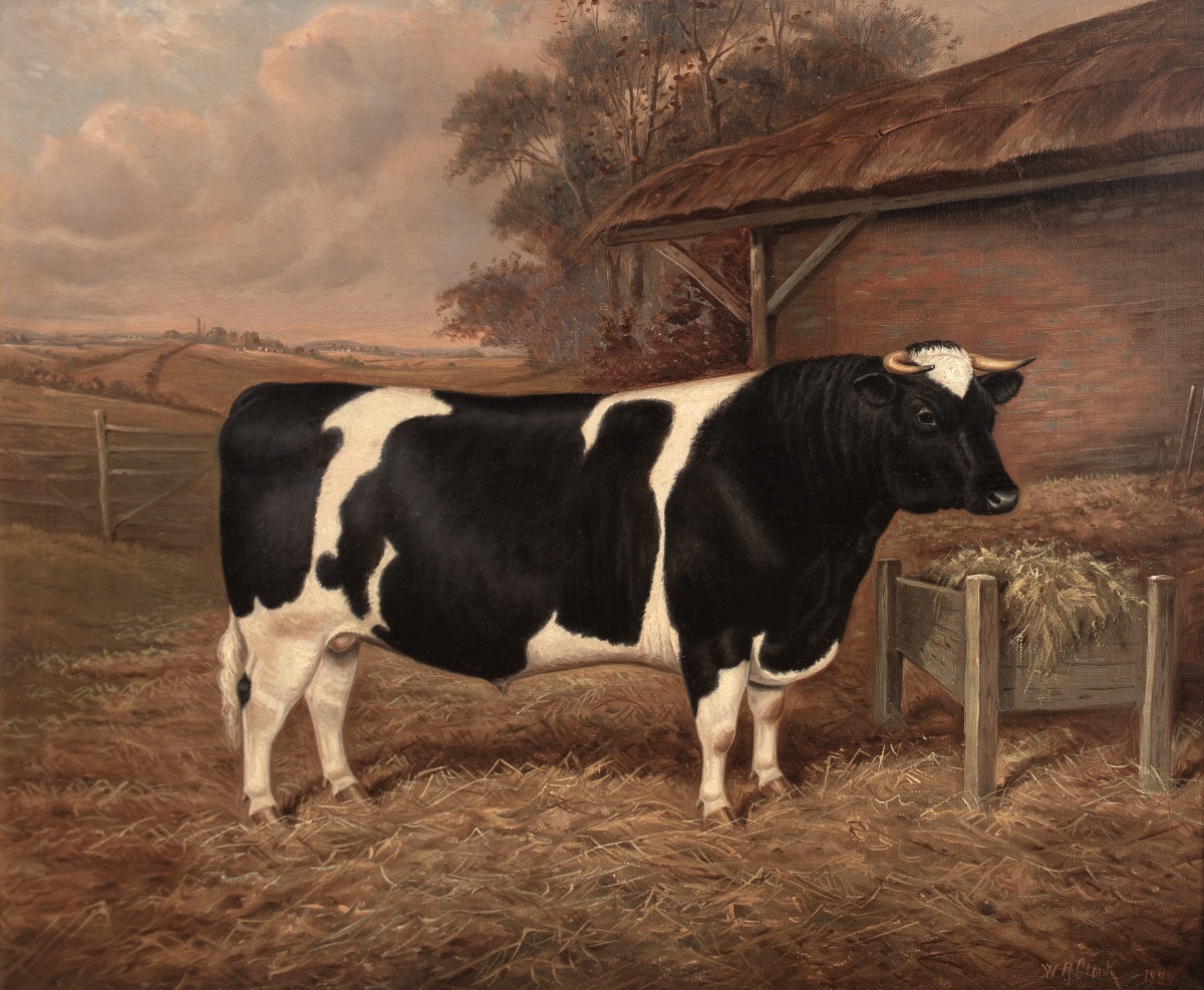 Portrait Of The "felhampton Candidate", A Prize-winning Friesian Bull At The 1922 Smithfield Competition -photo-2