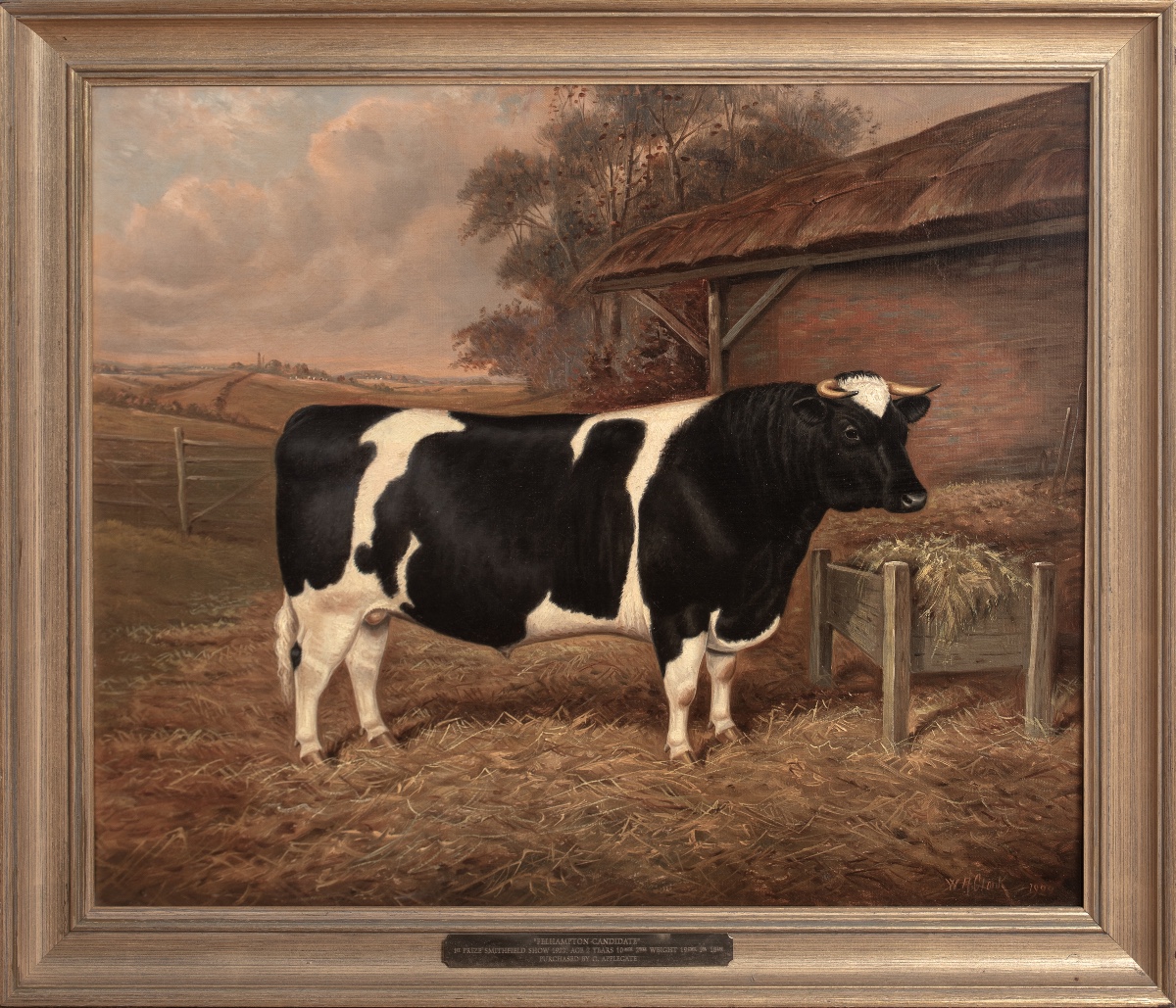 Portrait Of The "felhampton Candidate", A Prize-winning Friesian Bull At The 1922 Smithfield Competition 