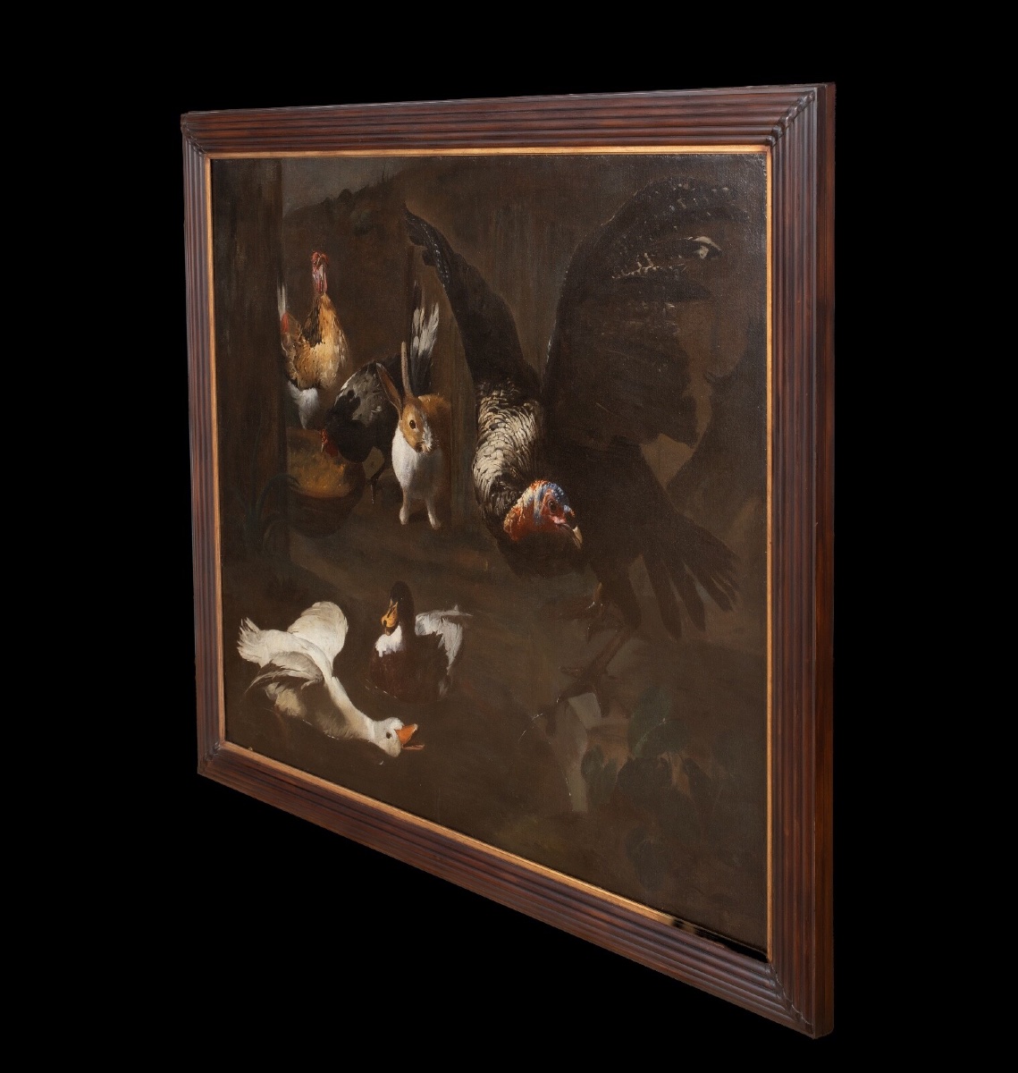 Study Of Farm Birds, 17th Century. Alongside Melchior De Hondecoeter (1636-1695).  -photo-2