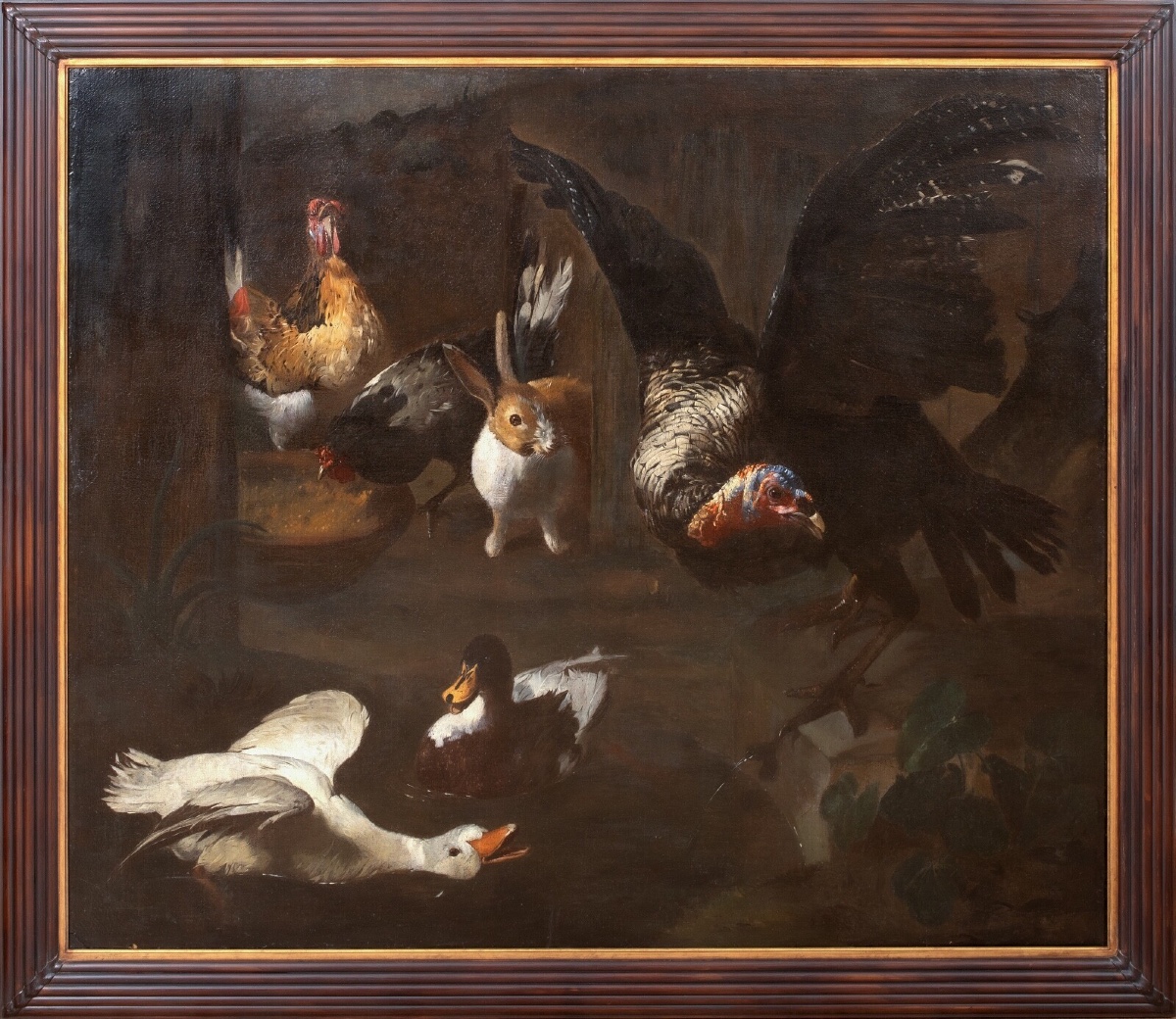 Study Of Farm Birds, 17th Century. Alongside Melchior De Hondecoeter (1636-1695).  
