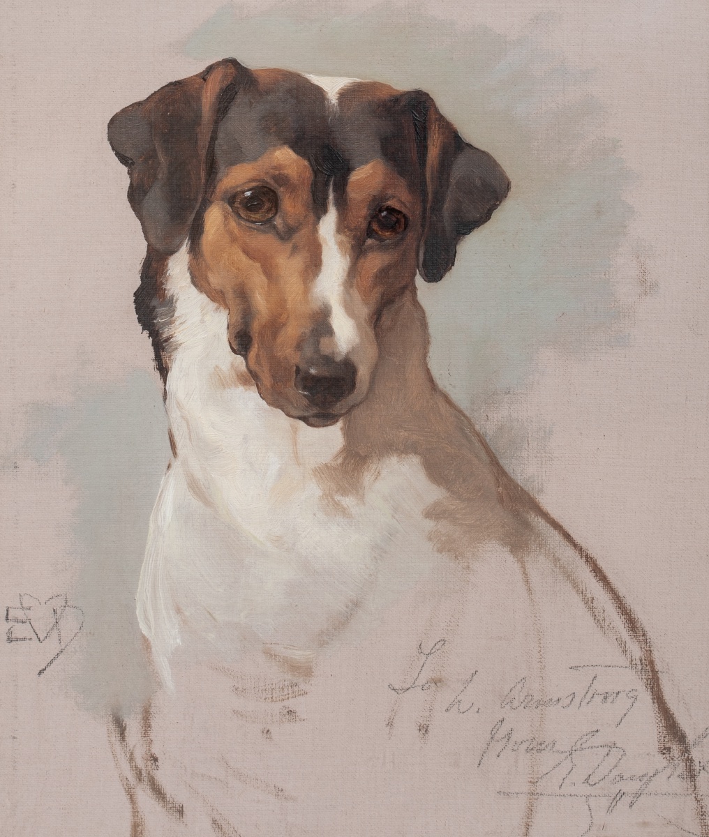 Portrait Of A Jack Russell Terrier, 19th Century By Edwin Douglas (1848-1914)-photo-2
