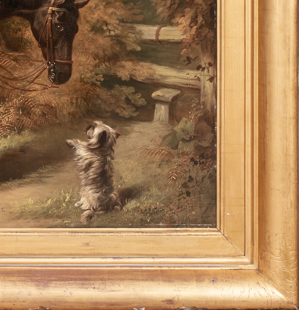 LA COMTESSE D'UXBRIDGE À CHEVAL SUR « ROSE », UNE CHEVALETTE BAIE NOIRE AVEC UN TERRIER -photo-3