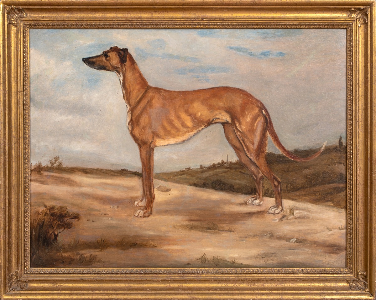 Portrait d'un lévrier, vers 1900  Entourage de Lilian Cheviot (1876-1936)  Grand portrait