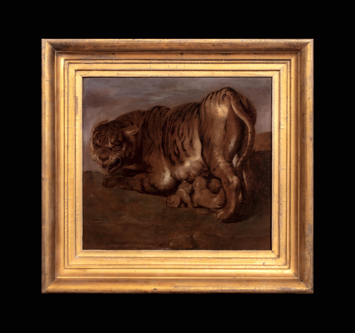 TIGRASSE ET SES TROIS PETITS, XVIIe siècle  École de Pierre Paul Rubens (1577-1640) -photo-4