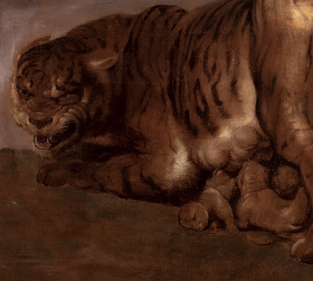 TIGRASSE ET SES TROIS PETITS, XVIIe siècle  École de Pierre Paul Rubens (1577-1640) -photo-1