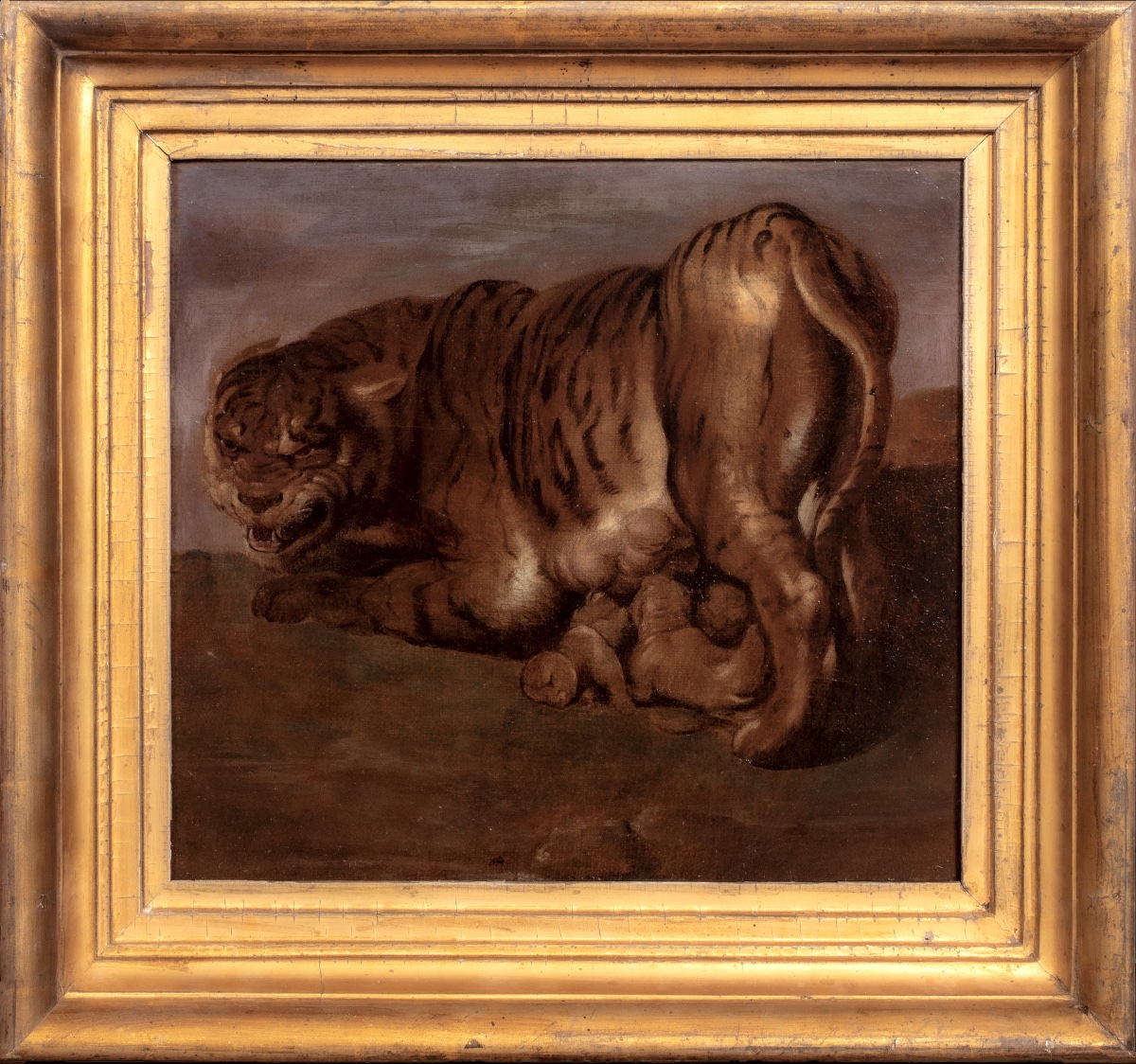TIGRASSE ET SES TROIS PETITS, XVIIe siècle  École de Pierre Paul Rubens (1577-1640) 