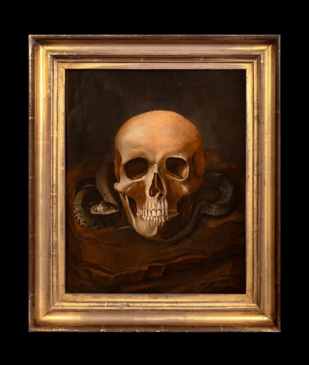 Nature morte Vanitas représentant un crâne et un serpent, huile sur panneau -photo-3