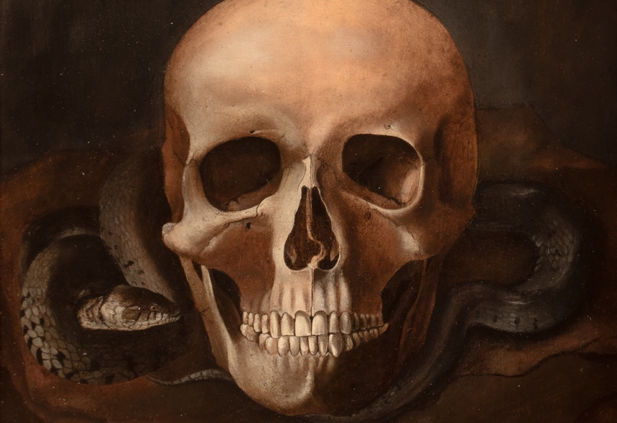 Nature morte Vanitas représentant un crâne et un serpent, huile sur panneau -photo-4
