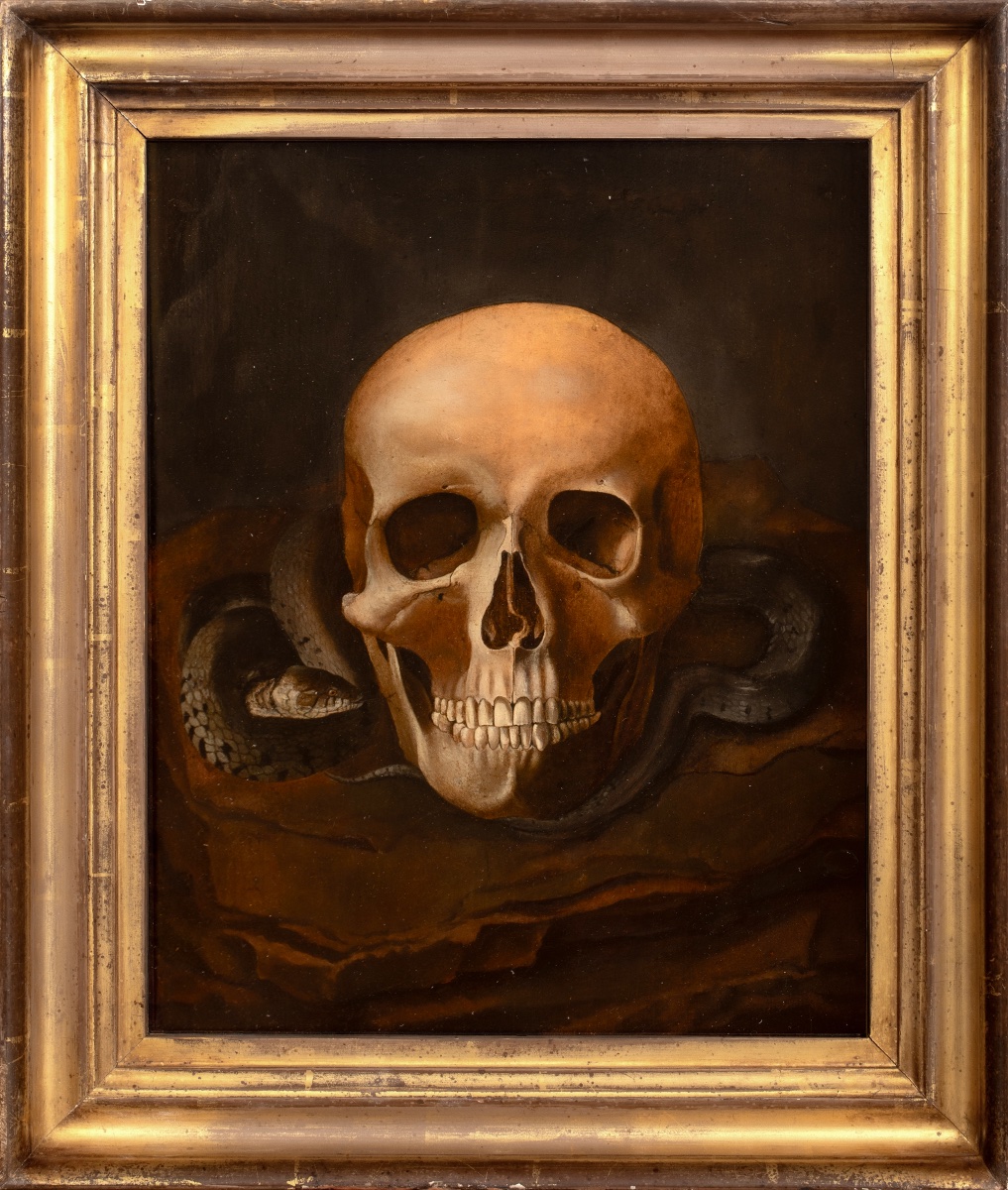 Nature morte Vanitas représentant un crâne et un serpent, huile sur panneau 