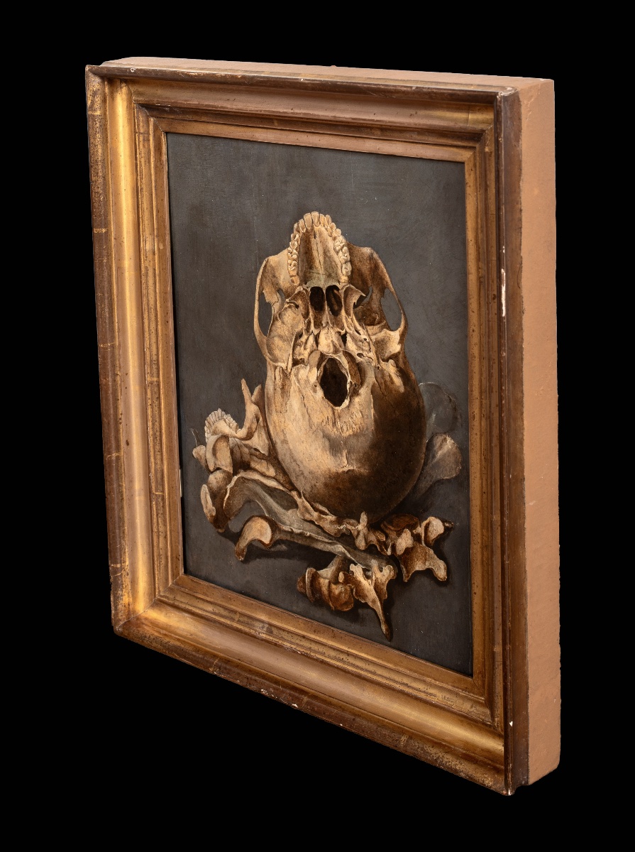 A Vanitas Still Life Depicting The Base Of A Skull And Bones, Oil On Panel -photo-1