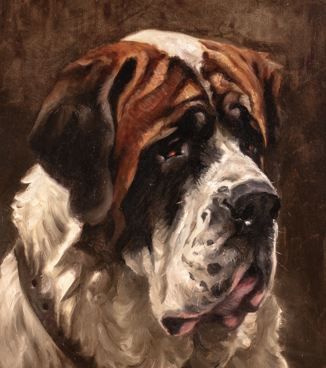 Portrait Of A Saint Bernard, 1910  Frederick Thomas Daws (1878–1956) -photo-2
