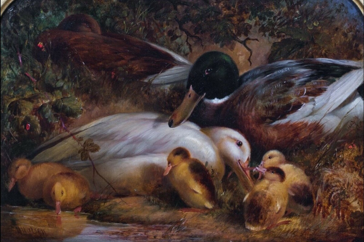 A Family Of Ducks, 19th Century By William II Watson (1831-1921)-photo-2