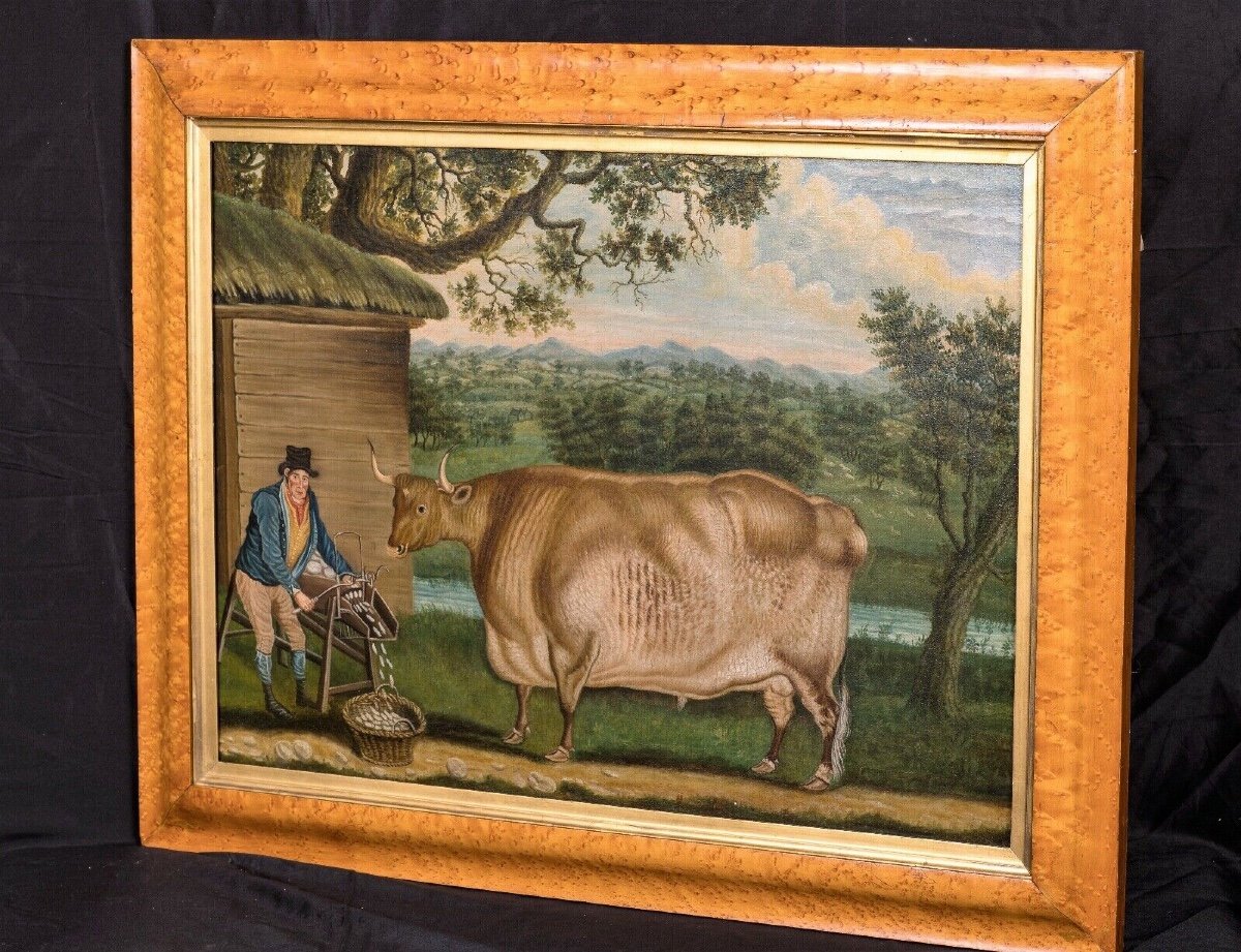 The Newbus Ox, 18th Century Attributed To Thomas Weaver (1774-1843)-photo-3