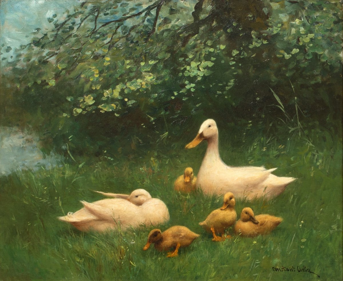 Une Famille De Canards, 19ème Siècle  Par Constant Artz (1870-1951) -photo-2