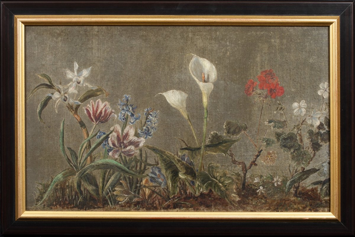 Study Of Orchids, Tulips, Hyacinths, Crocuses, Peace Lily And Geraniums, 18th / 19th Century-photo-2