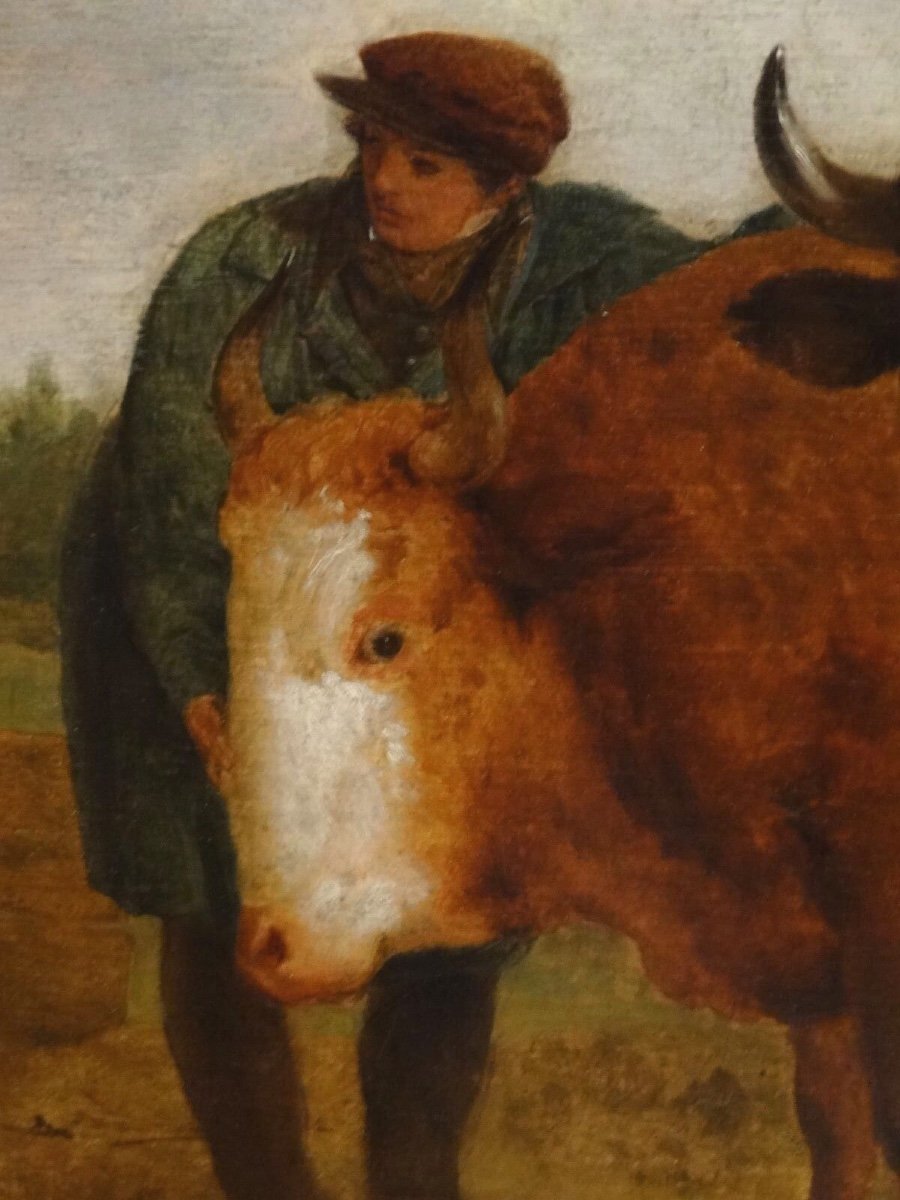 Price Of Bulls, Farmer And Owner, 18th Century-photo-4