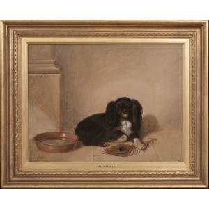 Portrait Of King Charles Spaniel, 19th Century Inscribed To Sir Edward Landseer (1802-1873) 