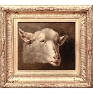 Étude d'une tête d'agneau / mouton, XIXe siècle  Attribué à Rosa BONHEUR (1822-1899)  