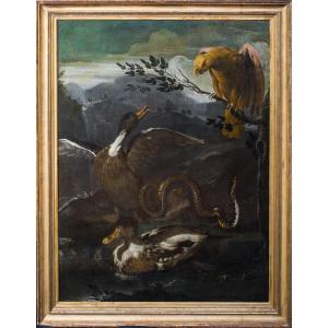 Perroquet, serpent, lézard et canards, XVIIe siècle - Otto Marseus van Schrieck (1619-1678)