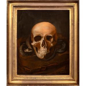 Vanitas Still Life Depicting A Skull And A Snake, Oil On Panel