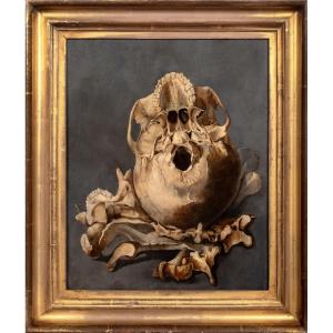 A Vanitas Still Life Depicting The Base Of A Skull And Bones, Oil On Panel