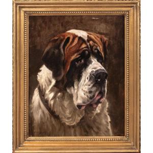 Portrait Of A Saint Bernard, 1910 Frederick Thomas Daws (1878–1956)