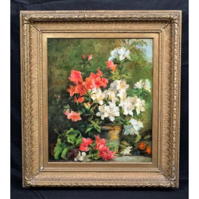 Study Of Azeleas, Circa 1900 Entourage Of Charles Courtney Curran (1861-1942)