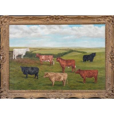 Shorthorn & Galloway Cattle Award, 20th Century By Micheal Weirs