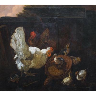 Chickens And Chicks, 18th Century Workshop Of Pieter III Casteels (1684-1749)