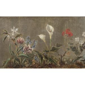 Study Of Orchids, Tulips, Hyacinths, Crocuses, Peace Lily And Geraniums, 18th / 19th Century
