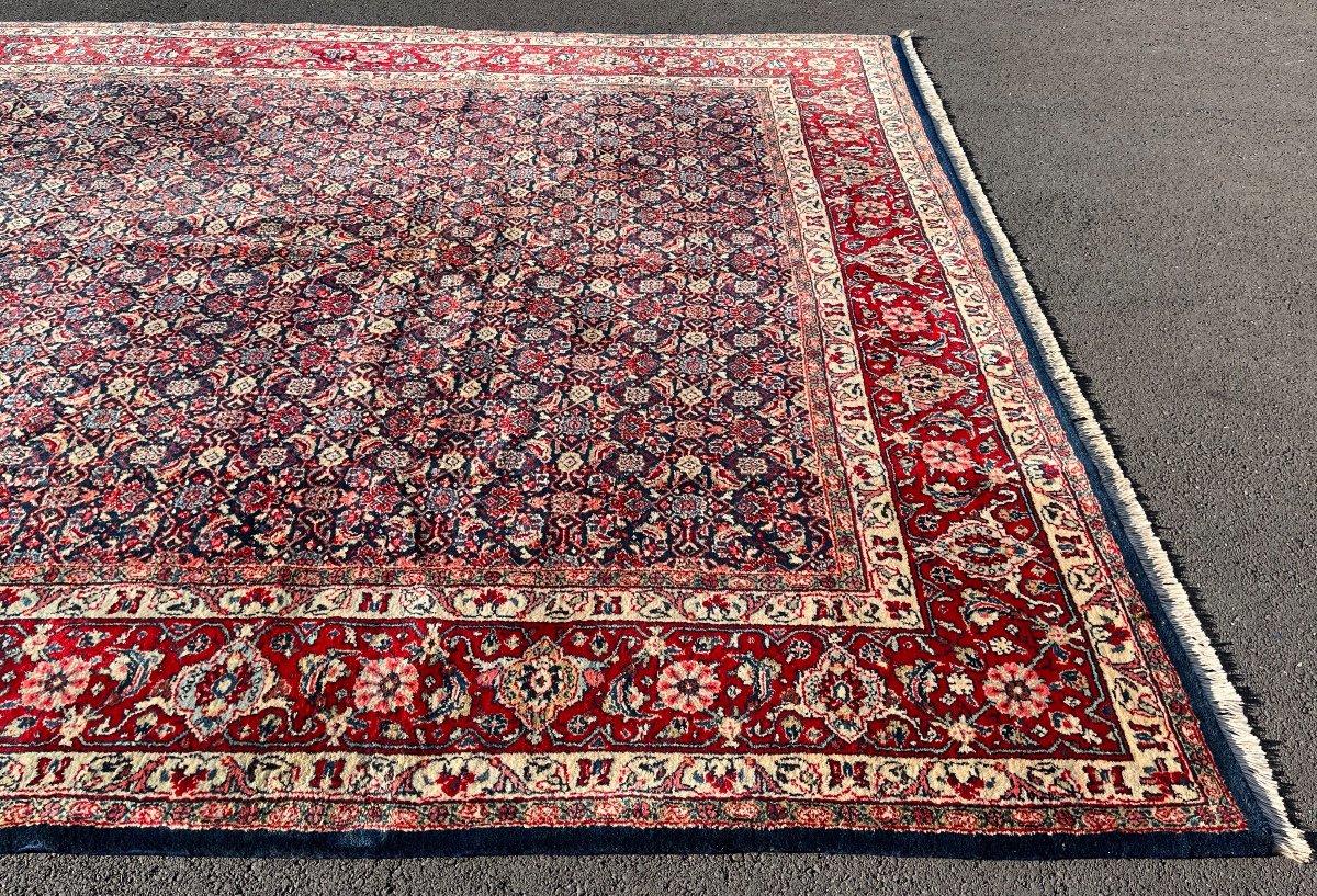 Sarough Mahal Rug Circa 1960. 340x239 Cm-photo-3