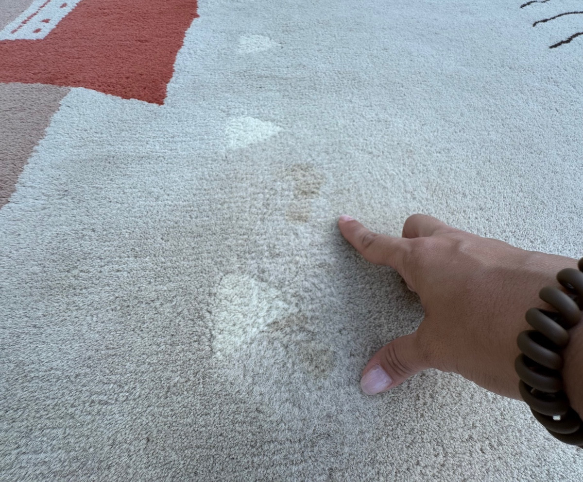 Tapis Toulemonde Bochart 350x250 cm-photo-3