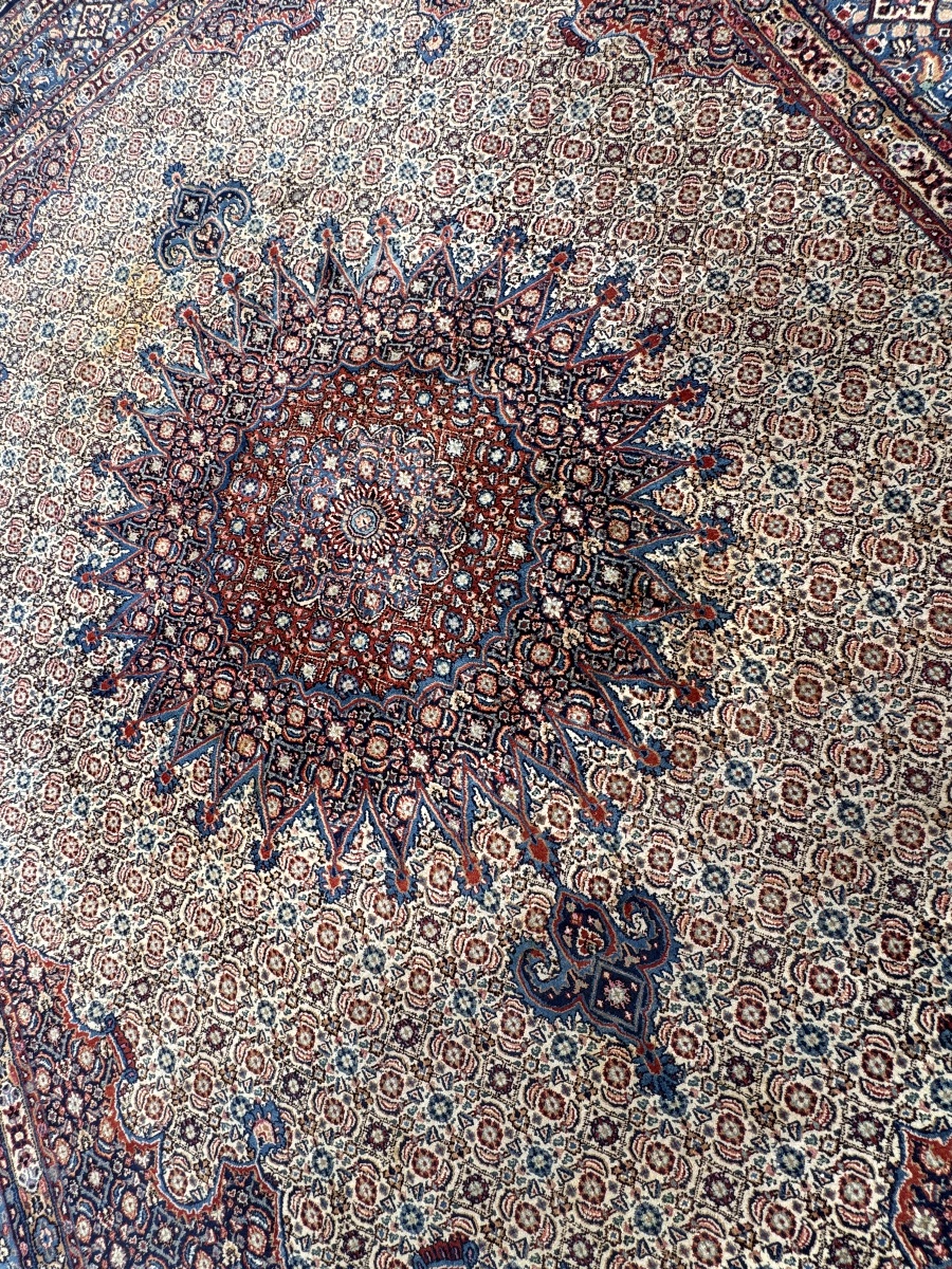 Tapis Persan Moud 335x260 cm-photo-2