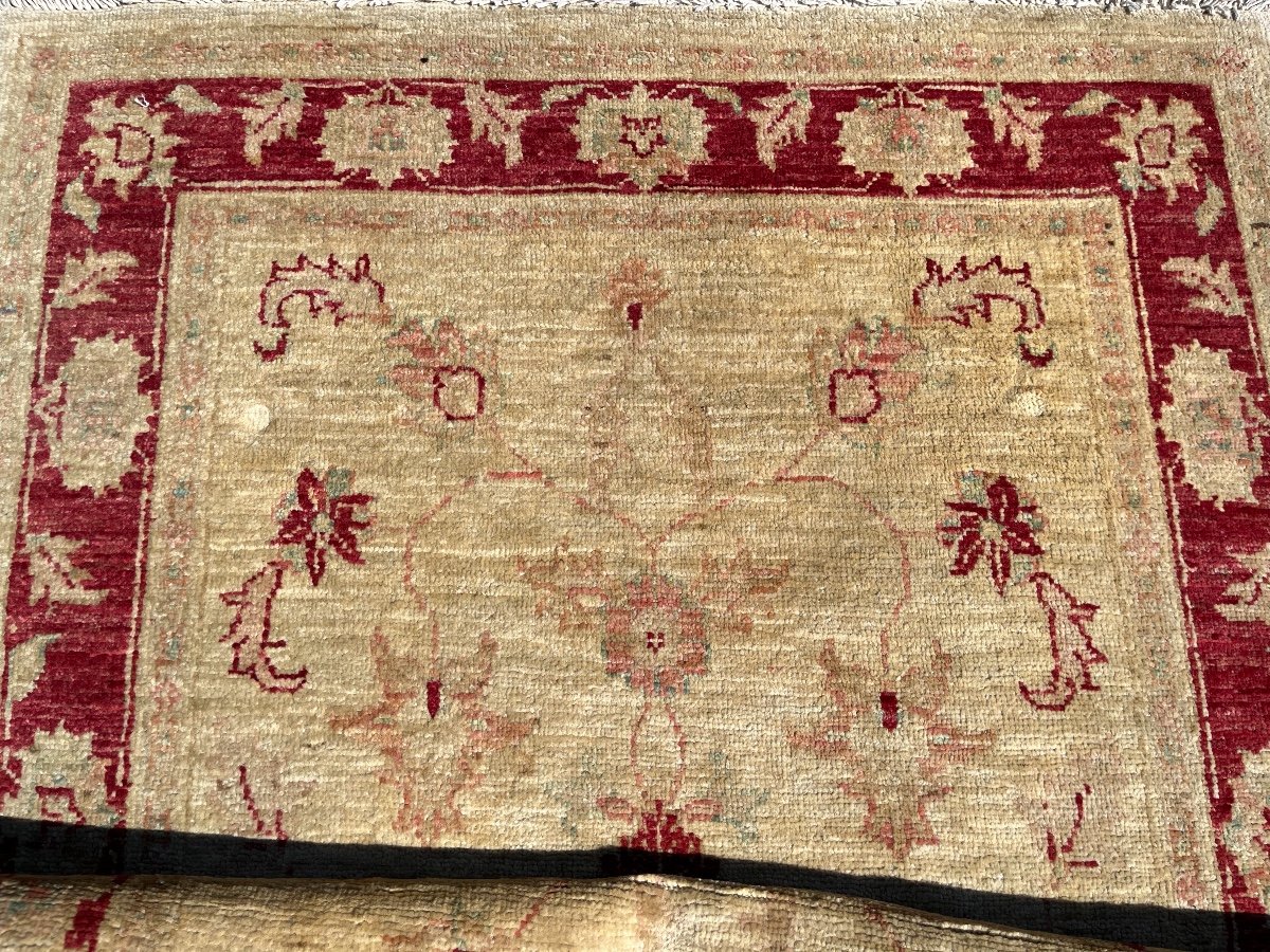 Tapis Ziegler Afghan Chobi-photo-4