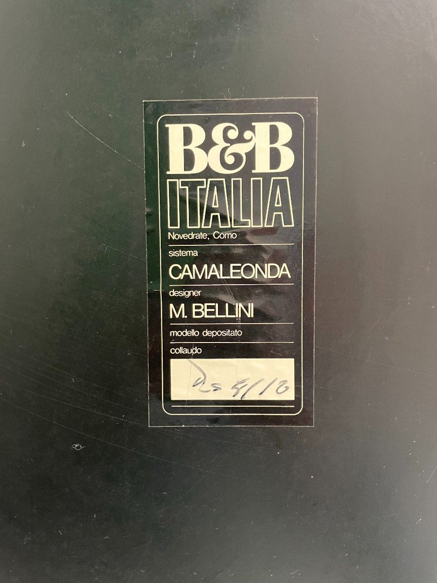 Canapé "camaleonda" Par Mario Bellini Pour B&b Italia, 1970-photo-2