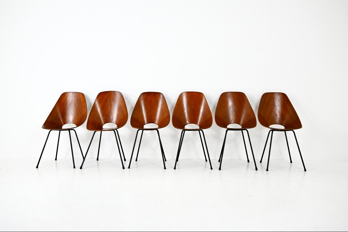 Set de 6 Chaises « Medea » Par Vittorio Nobili Pour Frattelli Tagliabue, 1950s-photo-2