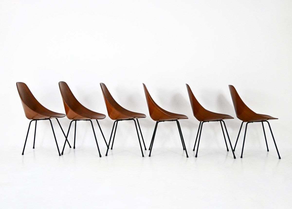Set de 6 Chaises « Medea » Par Vittorio Nobili Pour Frattelli Tagliabue, 1950s-photo-3