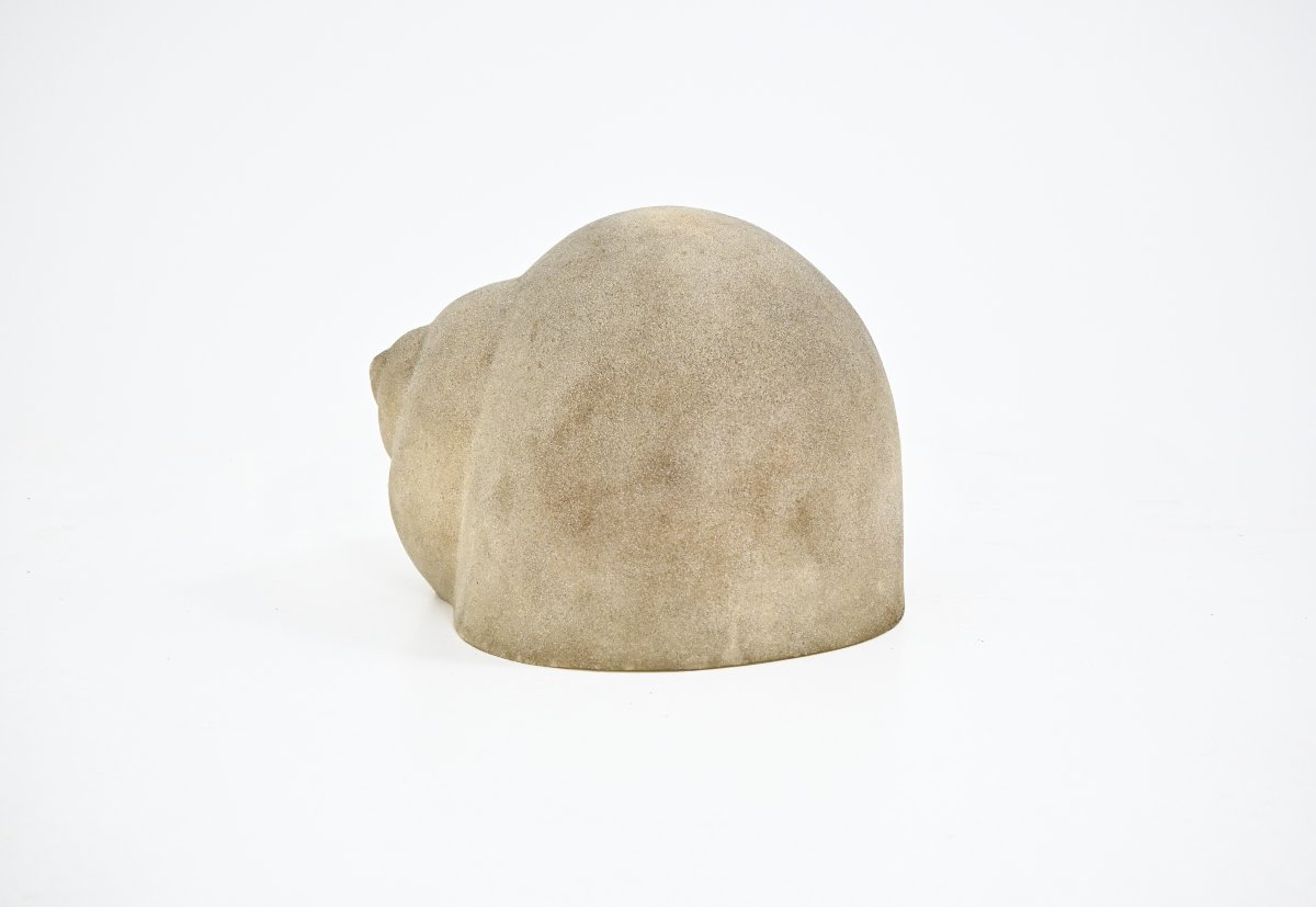 Snail-photo-1