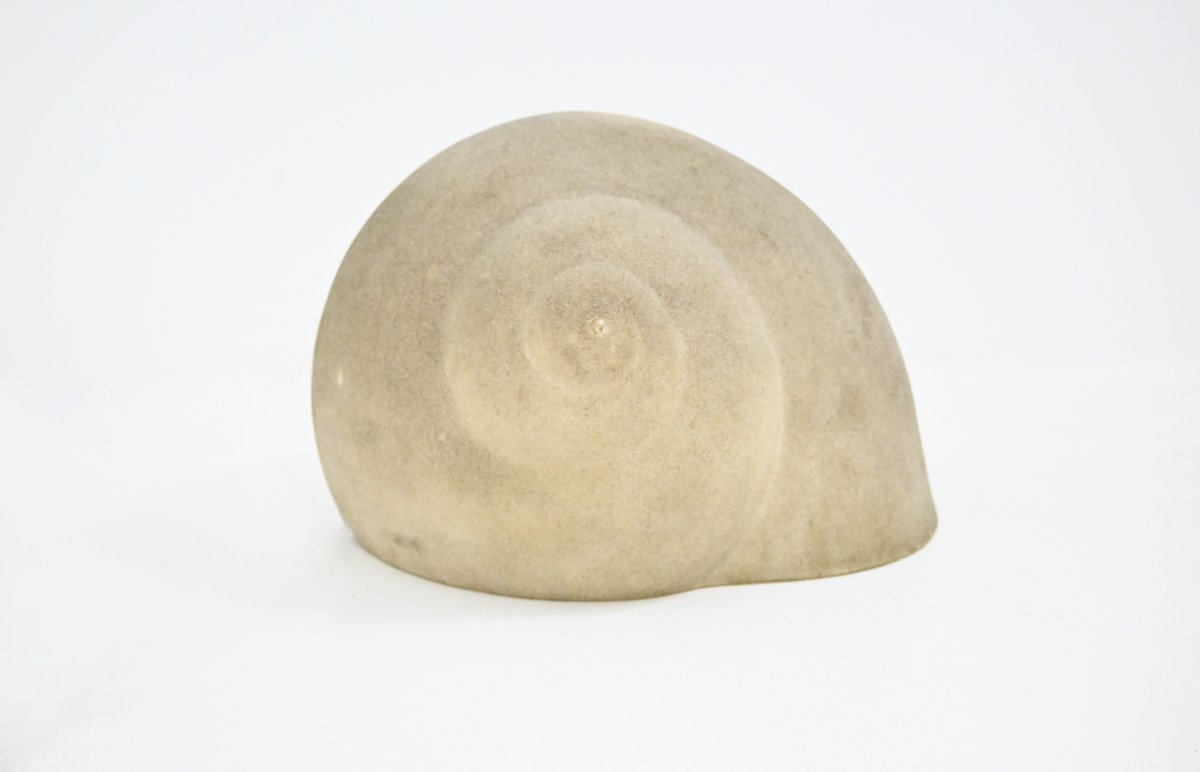 Snail-photo-3