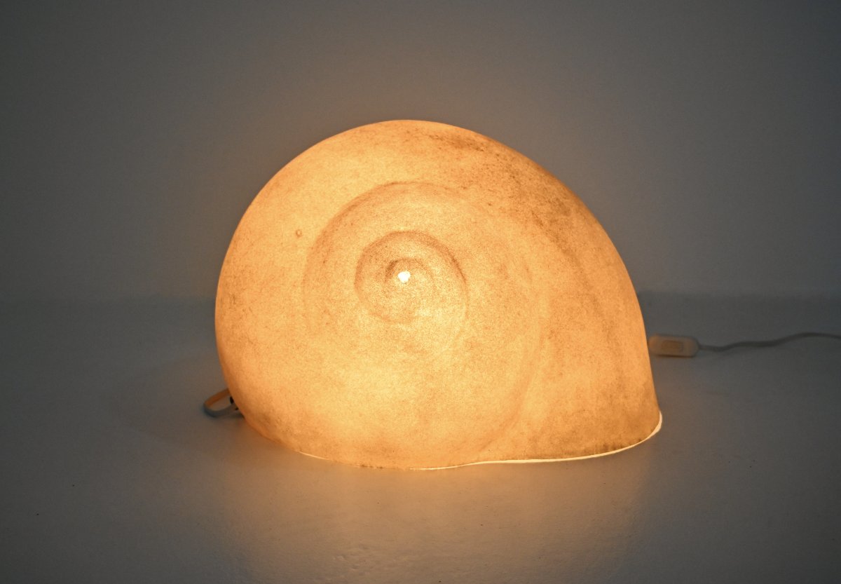 Snail-photo-4