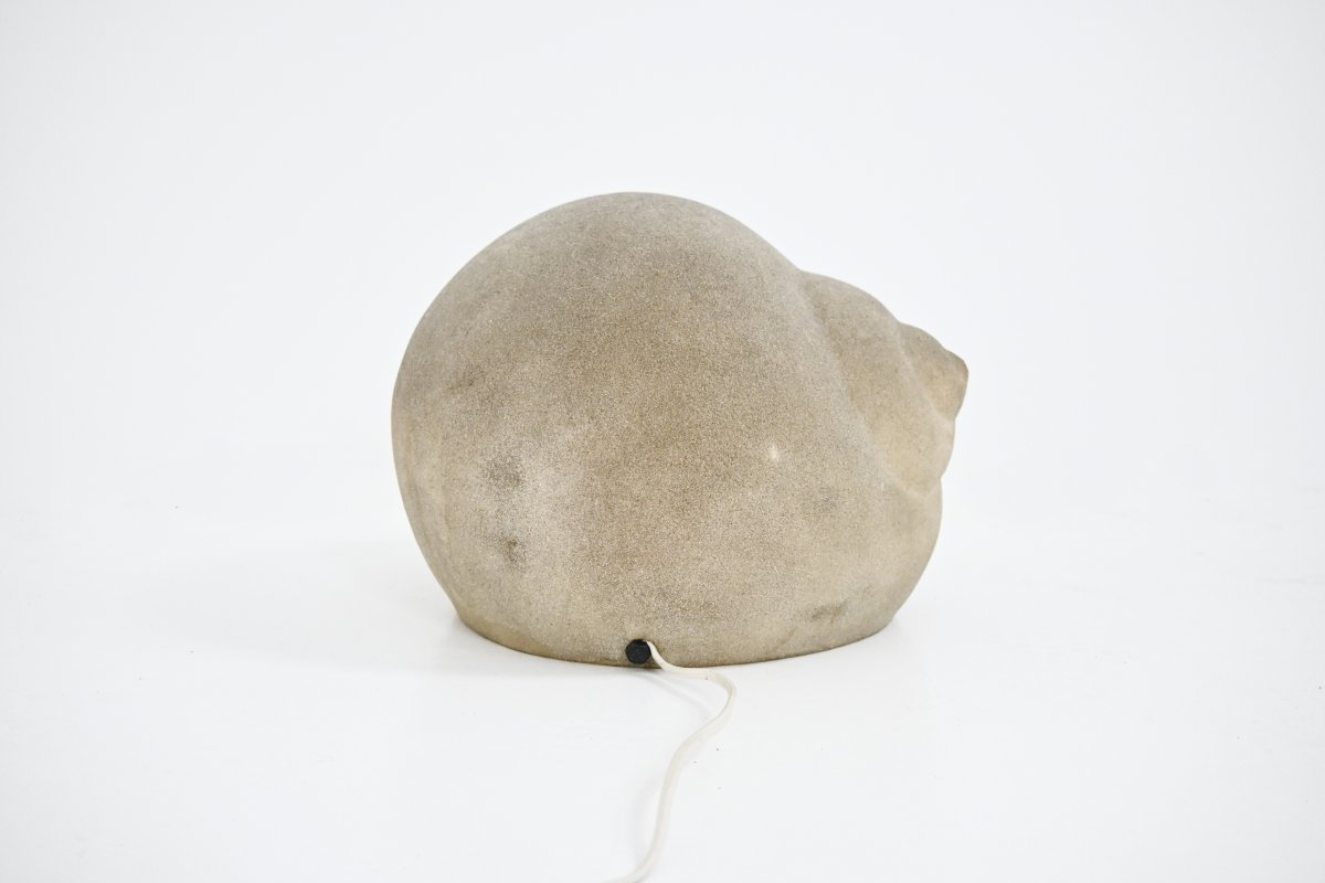 Snail-photo-6