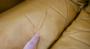 1586849-alb-687a4465eb9cc.jpg