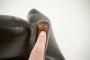 1789642-alb-6a4b7ec3362e7.jpg