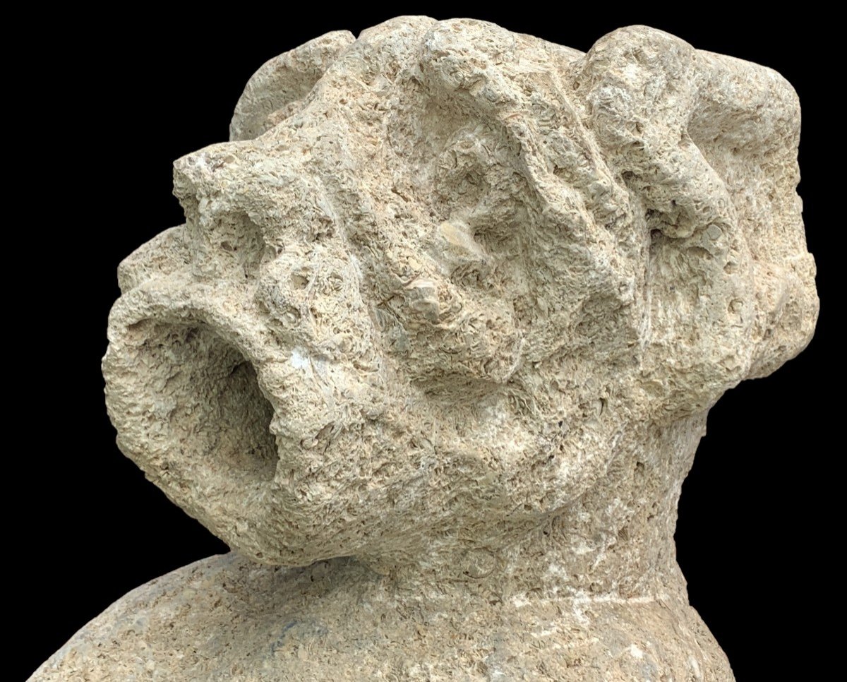 XIVe ou XVe s, Importante gargouille médiévale pierre fossilière  dragon hurlant-photo-4