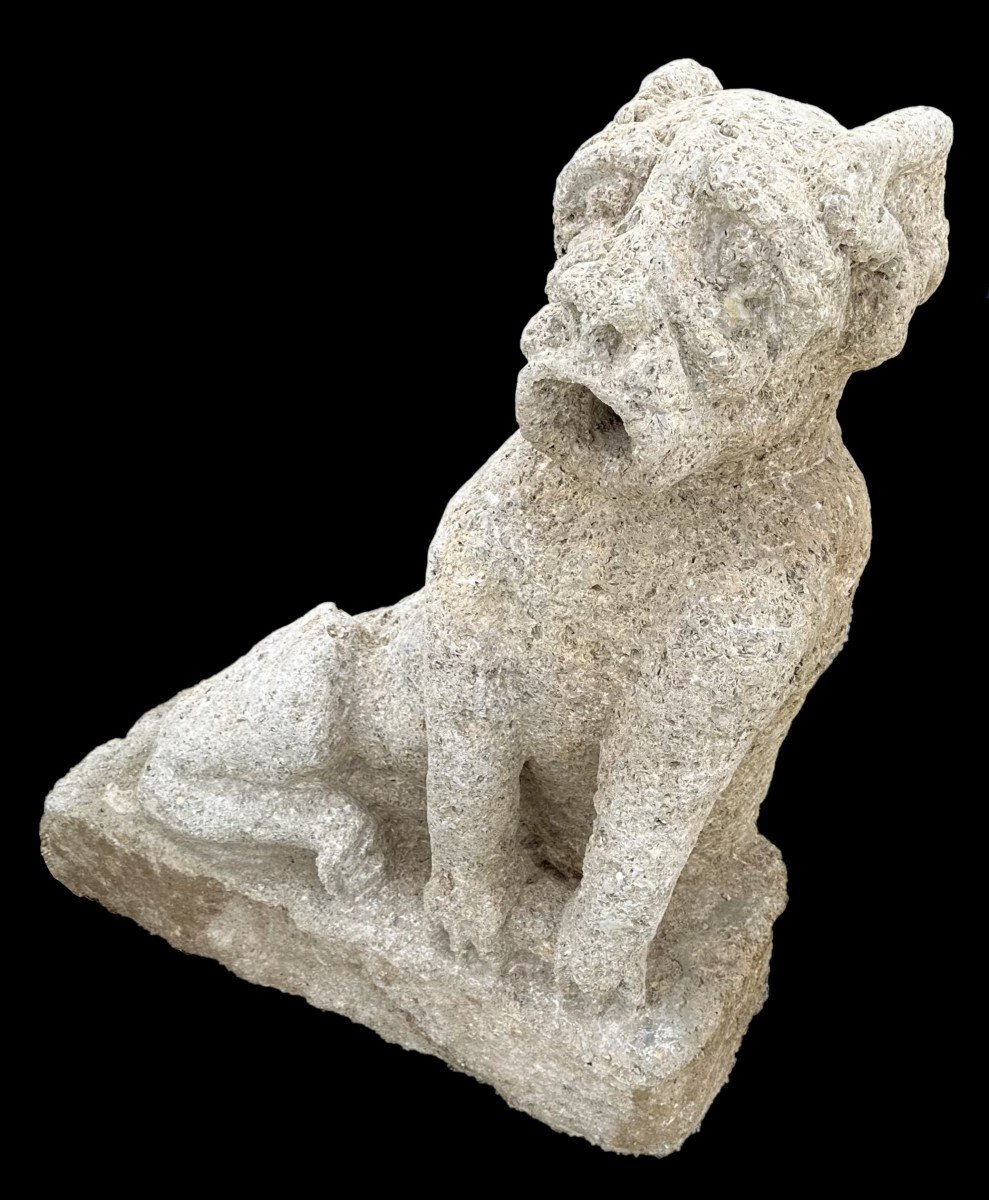 XIVe ou XVe s, Importante gargouille médiévale pierre fossilière  dragon hurlant-photo-1