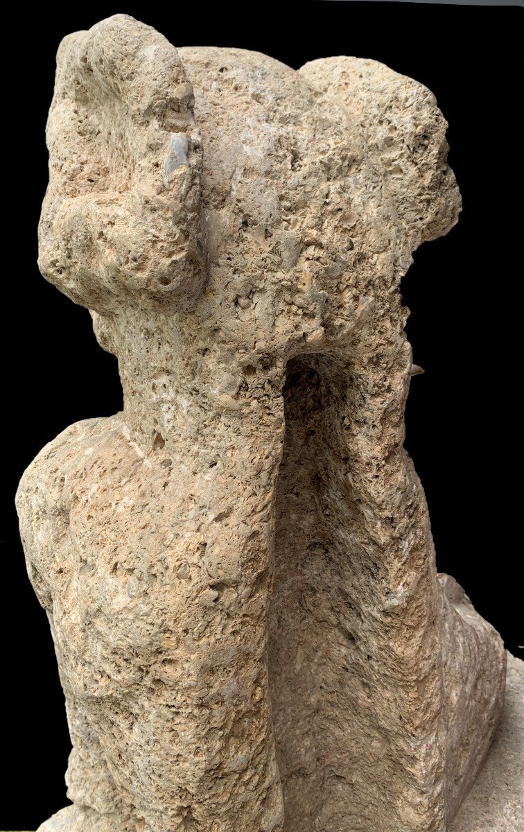 XIVe ou XVe s, Importante gargouille médiévale pierre fossilière  dragon hurlant-photo-4
