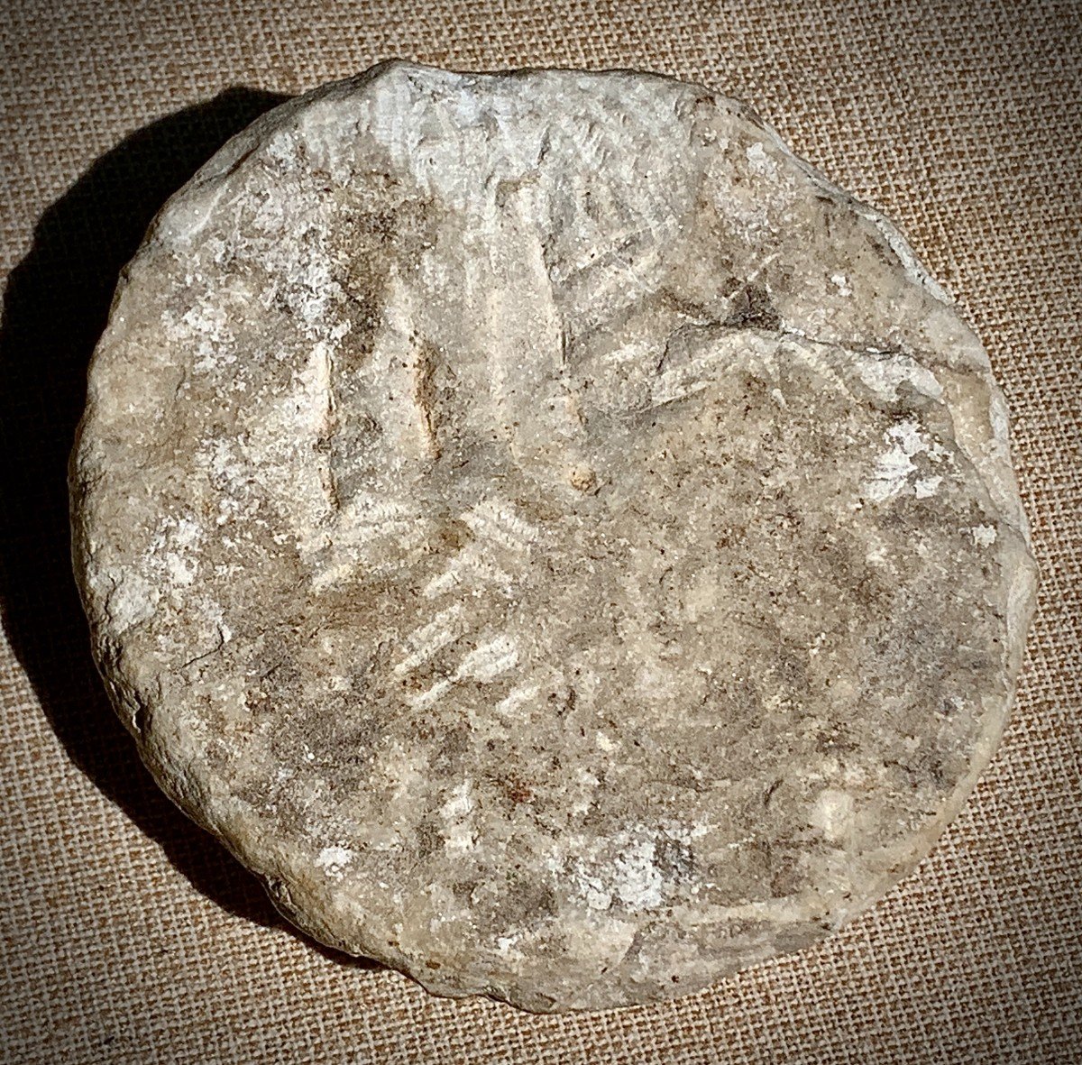 XVe s médaillon en marbre blanc, gd tondo portrait de profil empereur romain Caligula-photo-4